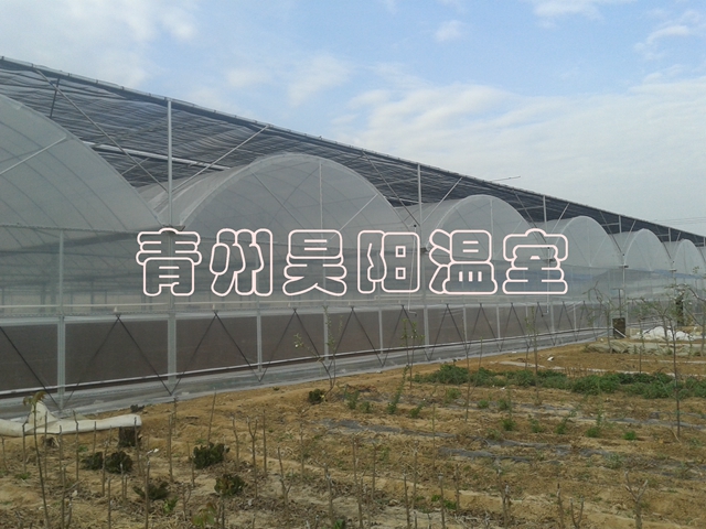 諸城建設中溫室